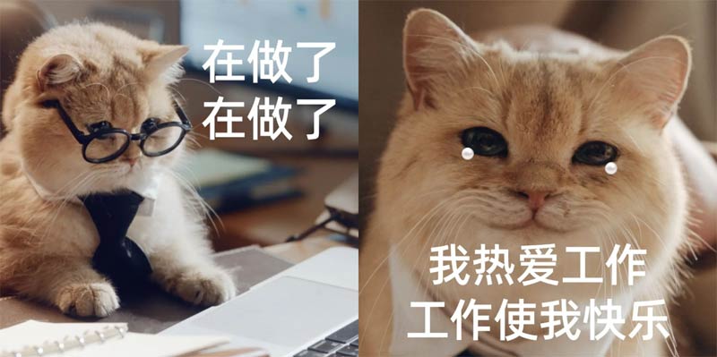 1709176585188994.png